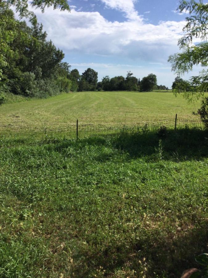 Appartement Dans Un Mas Provencal Istres Bagian luar foto